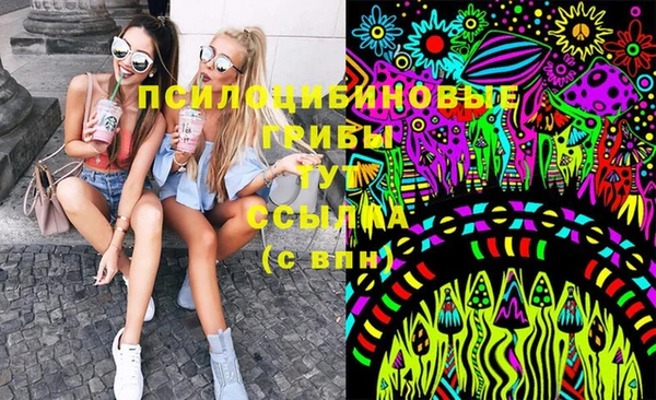 метадон Дмитриев