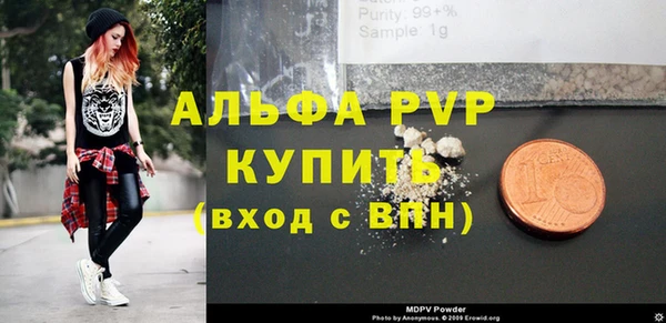 сатива Козельск
