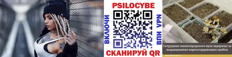 гидра сайт  Ленинск-Кузнецкий  Галлюциногенные грибы GOLDEN TEACHER 