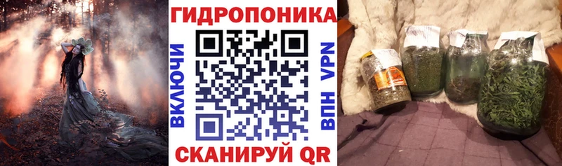 мориарти какой сайт  Ленинск-Кузнецкий  Бошки Шишки конопля 